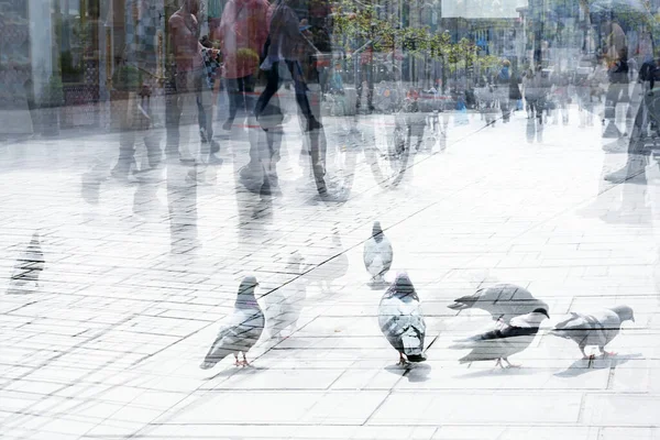 Vida Ciudad Abstracta Palomas Una Multitud Personas Están Caminando Calle — Foto de Stock