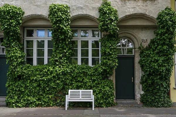 Fasaden Överväxt Med Murgröna Historisk Gamla Stan Hus Med Muntin — Stockfoto