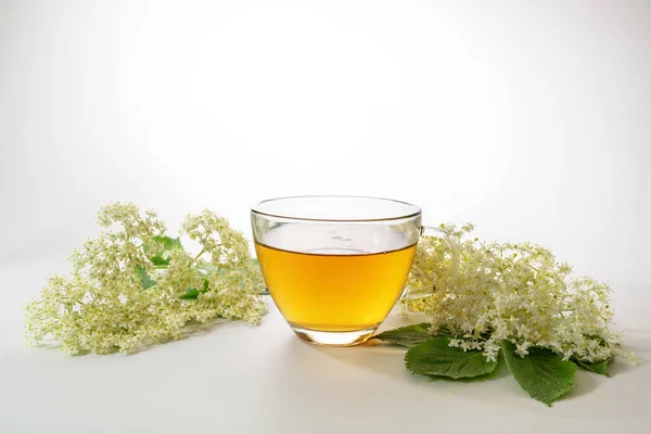 Chá Flor Sabugueiro Uma Xícara Vidro Algumas Flores Frescas Fundo — Fotografia de Stock