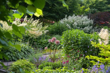 Güneşli ve gölgeli bitki yatakları, seçilmiş odak noktası, dar alan derinliği olan halka açık bir bahçe parkında karışık sınırlar.