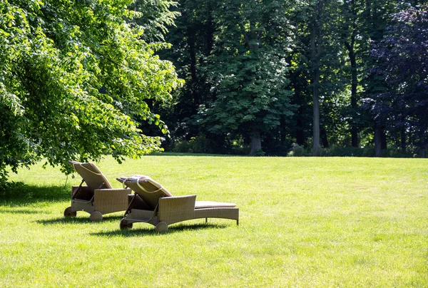 晴れた夏の日に公園の芝生の上で古い木の下でリラックスする快適なサンラウンジチェア コピースペース 選択された焦点 — ストック写真