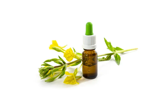 Onagra Floración Amarilla Oenothera Una Botella Con Aceite Planta Medicinal — Foto de Stock