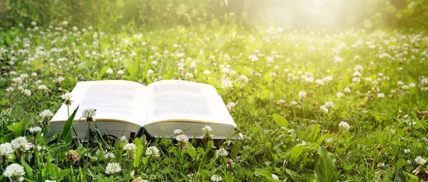 Open Book Lies Lawn Clover Evening Sun Holidays Relaxation Garden — Stock Photo, Image