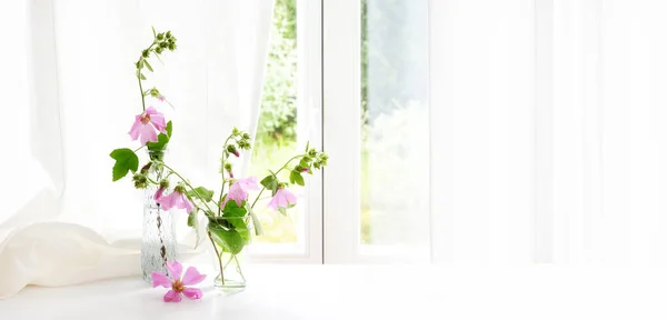 Arrangement Mit Rosa Malvenblüten Malva Glasvasen Fenster Vor Weißem Vorhang — Stockfoto