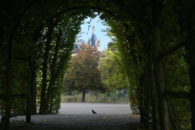 Hornbeam 'den Schwerin Kalesi' nin kulesine kadar uzanan karanlık bir atari salonuna bak. Seçilmiş odak noktası, dar alan derinliği.