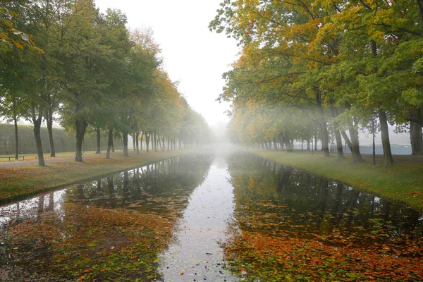 Kanal Mit Baumreihen Ufer Und Spiegelungen Wasser Einem Nebligen Herbstmorgen — Stockfoto