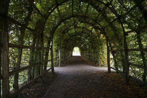 Camino Del Cenador Carpe Con Pérgola Gran Parque Público Enfoque —  Fotos de Stock