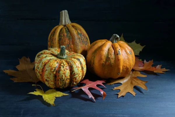 Calabazas Comida Calabazas Hojas Otoño Colores Sobre Fondo Madera Azul —  Fotos de Stock