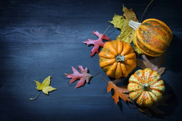 Halloween Ringraziamento Accordo Con Zucche Alimentari Zucche Foglie Autunnali Colorate — Foto Stock