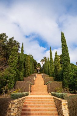 İspanya'da Marimurtra Botanik Bahçesi,Blanes,Katalonya