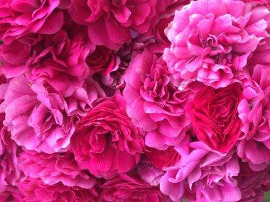 Bir buket pembe çiçek.