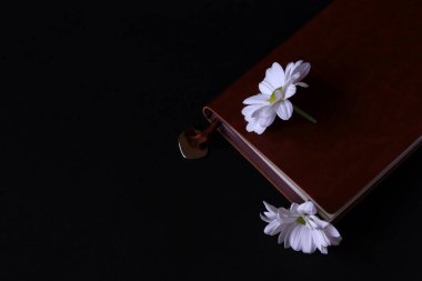 Koyu arkaplanda papatyalar ve defter.