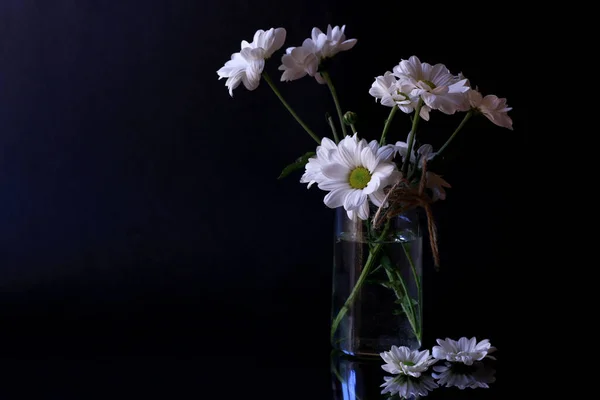Bouquet Camomilles Dans Vase Verre Sur Fond Noir — Photo