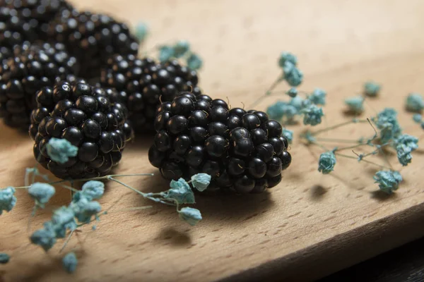 Kuru mavi çiçekler yakın çekim arka plan ile olgun böğürtlen