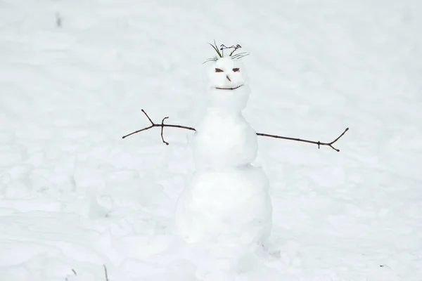 枝手と緑の草髪と雪の背景で邪悪な笑顔で小さな雪だるま — ストック写真