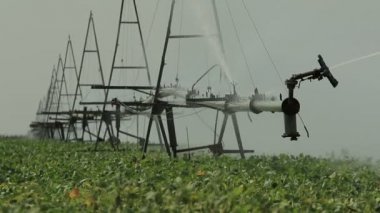 Sulama sistemi bir yeşil alan çalışmalarında (1080p, 25fps)