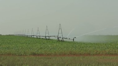 Sulama sistemi bir yeşil alan bileşik iki footages genel ve orta ön plan (1080 p 25 fps, bileşik bitkilerde ile çalışma)