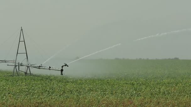 灌溉系统工作在一个绿色的领域与强大的水射流灌溉农作物复合素材 1080P 25Fps 化合物 — 图库视频影像