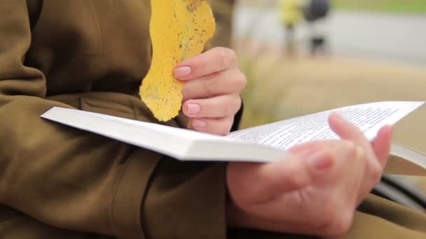 Aufgeschlagenes Buch Von Mädchen Mit Gelbem Herbstblatt Der Hand Nahaufnahme — Stockvideo