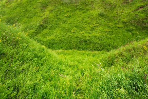 Reine Grüne Landschaft Mit Wilden Hügeln Die Mit Saftigen Gräsern — Stockfoto