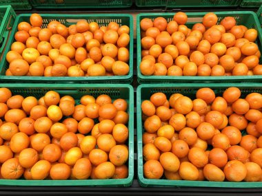 mandalina kutuları yakın çekim sürü