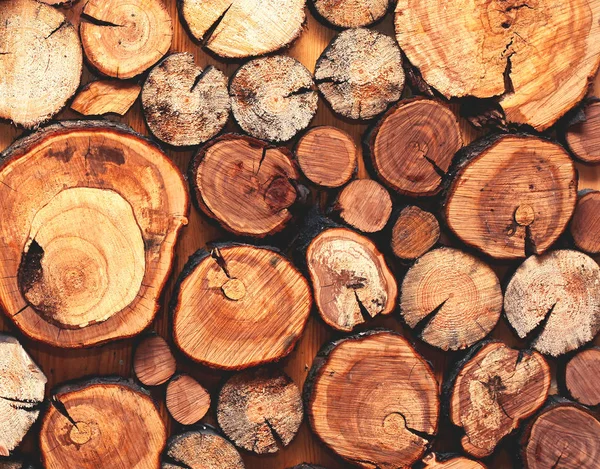 Wooden Natural Sawn Logs Closeup Texture Background Top View Flat — Stok Foto