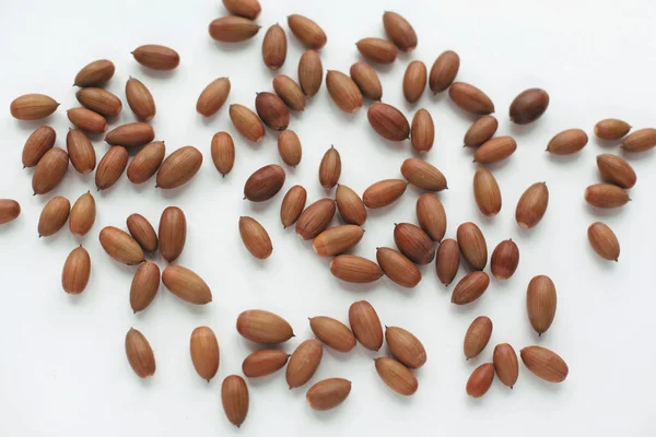 Many Acorns Oak White Background Top View — Stock Photo, Image