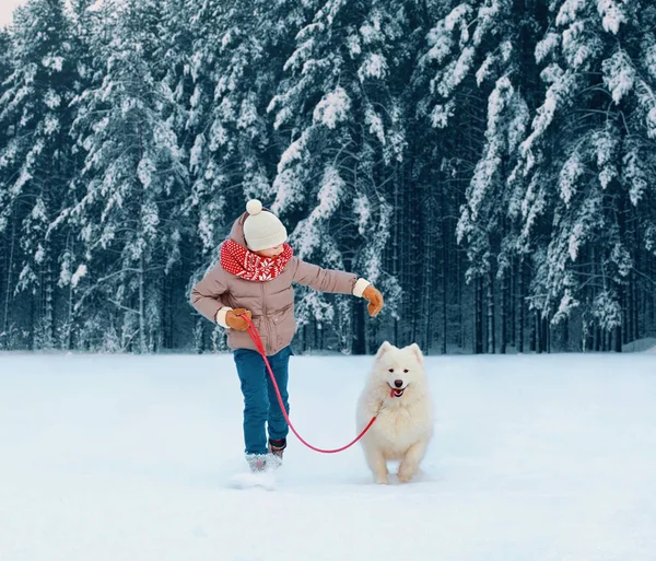 Šťastné Dítě Bílým Psem Samojed Hrající Pozadí Zasněženého Lesa Zimní — Stock fotografie