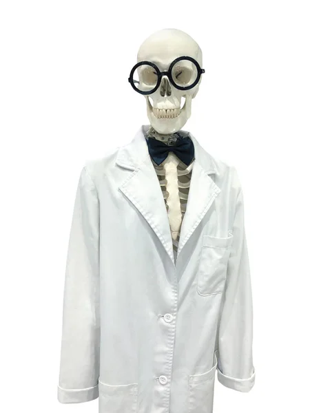 Funny Skeleton Doctor Scientific Lab Gown Isolated White Background — Stock Photo, Image