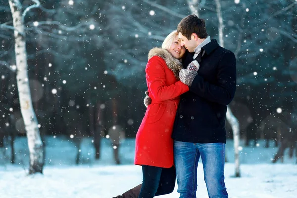 Feliz Pareja Romántica Joven Caminando Parque Invierno Copos Nieve Volando —  Fotos de Stock