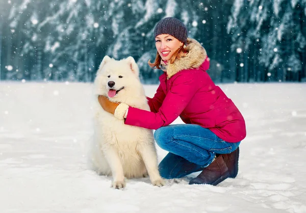 Woman White Samoyed Dog Walking Together Winter Day Snowy Park — Stock Photo, Image