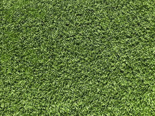 Textura Hierba Verde Para Fondo — Foto de Stock