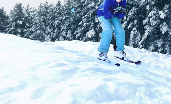 Esquiador Está Esquiando Nieve Sobre Fondo Nevado Bosque Invierno — Foto de Stock