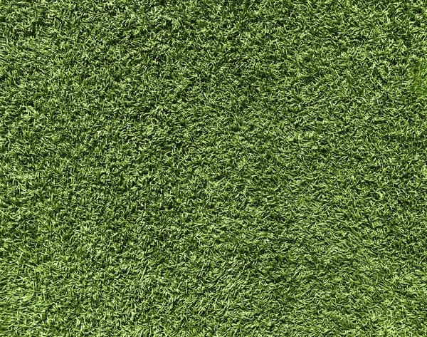 Концепция природы - фактура свежей зеленой травы для фона — стоковое фото