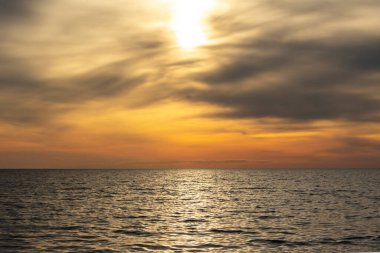 Yeşil dereotu beyaz arkaplan görünümünde yakın plan görüntüsü