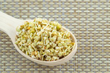 Tahta kaşıkta filizlenmiş yeşil karabuğday tohumları.