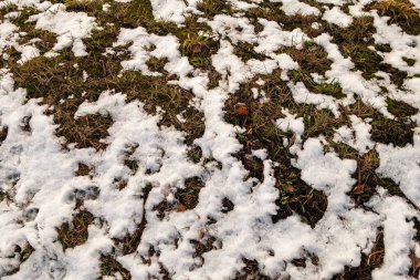 Küresel ısınma kuzeydeki karı eritiyor