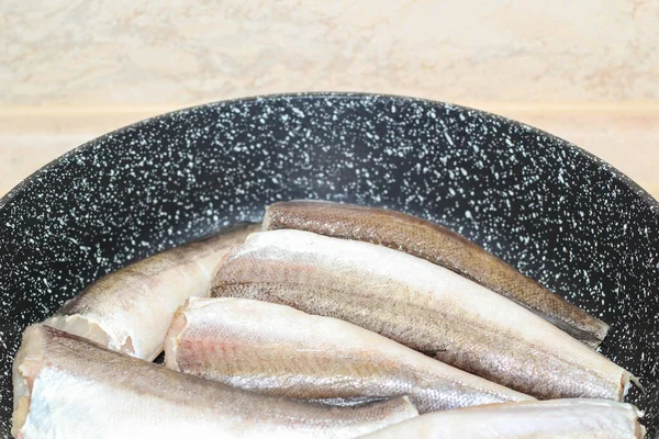 Sea Hake Raw Fish Pan — Stock Photo, Image