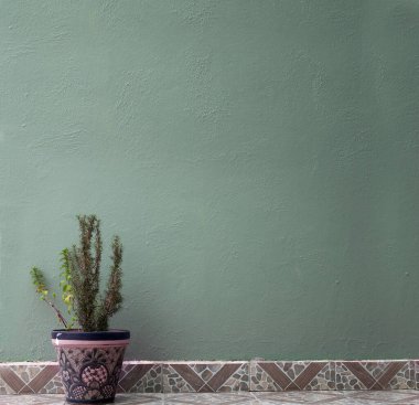  bitki ve yeşil duvarlı çömlek