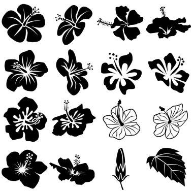 Hibiscus simgesi siyah beyaz ayarlandı. Vektör illüstrasyonu. 