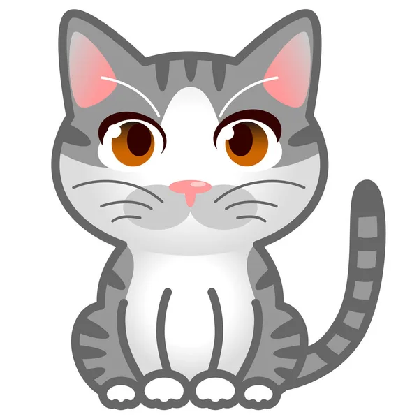 Gray Tabby White Cat Brown Eyes Vector Illustration — Stock Vector