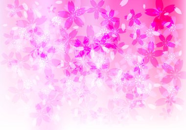 Sakura kiraz çiçeği çiçek yaprakları arka planda. vektör illüstrasyonu.