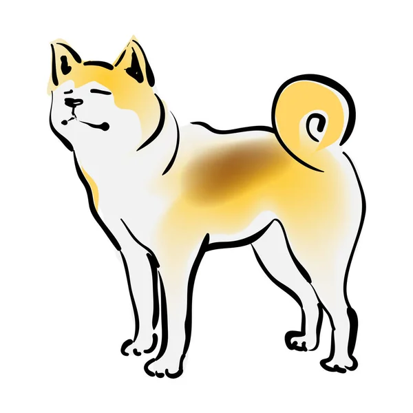 Japanska Akita Inu Vit Bakgrund Borsta Touchstil Vektorillustration — Stock vektor