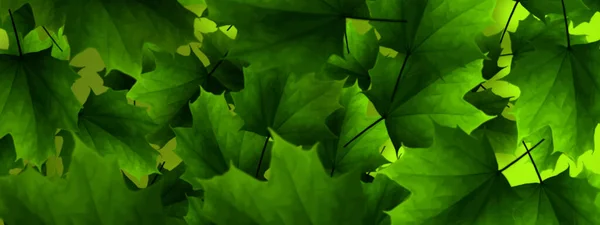 Beautiful Background Painted Green Leaves — Stock Photo, Image