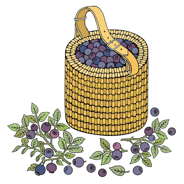 Blaubeeren im Korb. Zeichentrickvektorillustration — Stockvektor