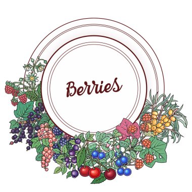 Böğürtlenler ve meyveler elle çizilmiş.