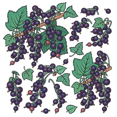 El yapımı kuş üzümü. Nesneler kümesi.