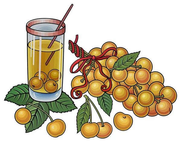 Saft, Beeren, Kirschen handgezeichnete Illustration — Stockvektor