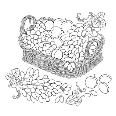 Sepette üzüm ve şeftali. Çizgi film illüstrasyonu