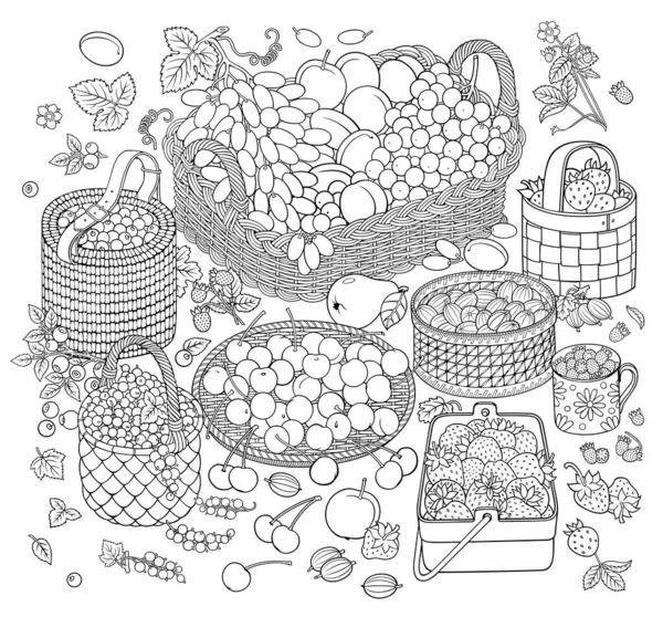 A lot of fruits and berries in baskets — Stock Vector